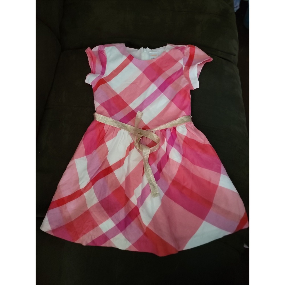Gymboree woodland‎ wonder dress with gold belt size 5